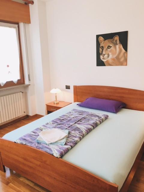 Bed&Breakfast Zattieri Ponte nellʼAlpi Eksteriør bilde